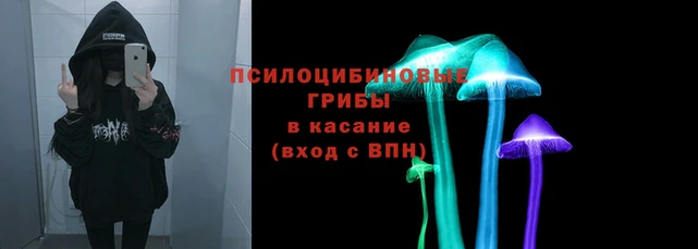 стаф Армянск
