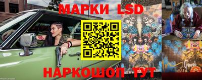apvp Заволжье