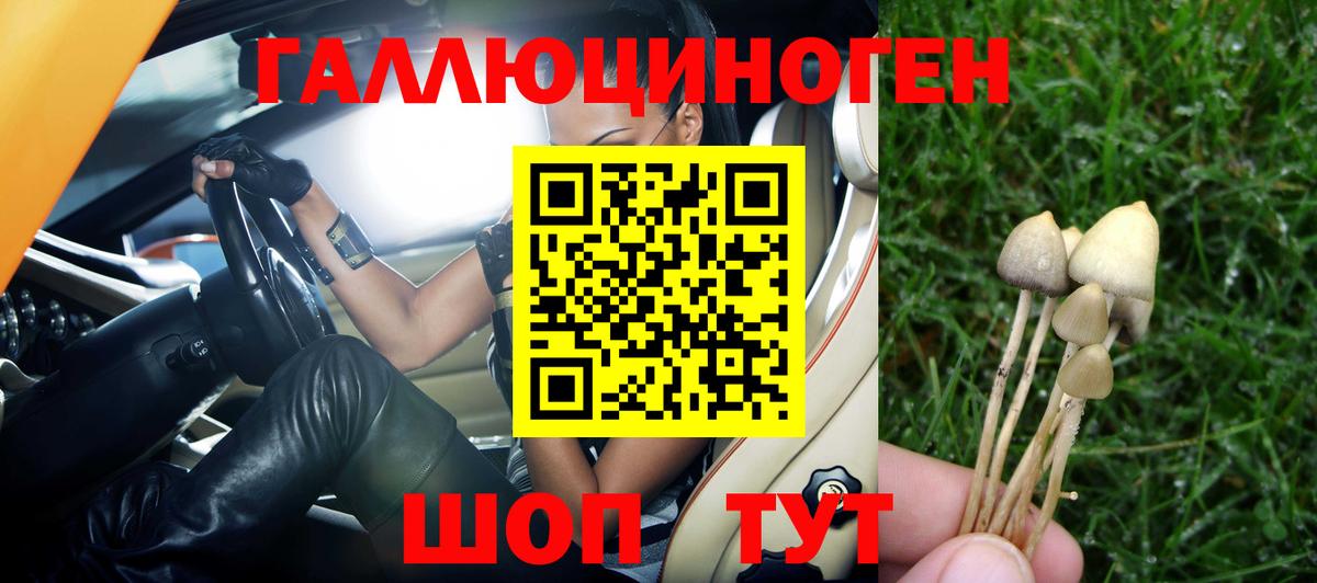 Новодвинск  Галлюциногенные грибы Cubensis  Вход с VPN 