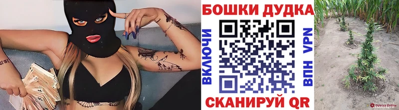Каннабис конопля как найти закладки Новодвинск